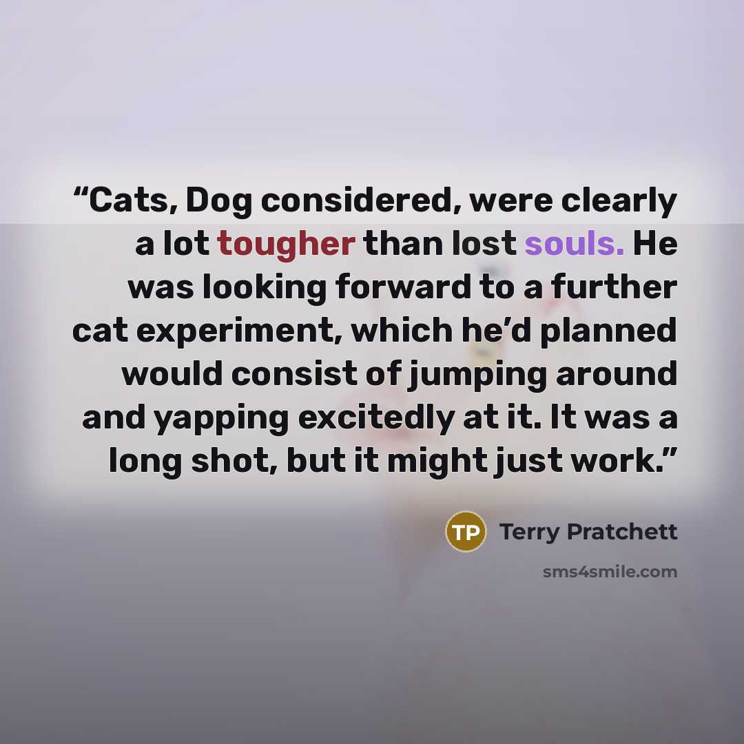 “Cats, Dog considered, were clearly a lot tougher than lost souls. He was looking forward to a further cat experiment, which he’d planned would consist of jumping around and yapping excitedly at it. It was a long shot, but it might just work.” quote by Terry Pratchett