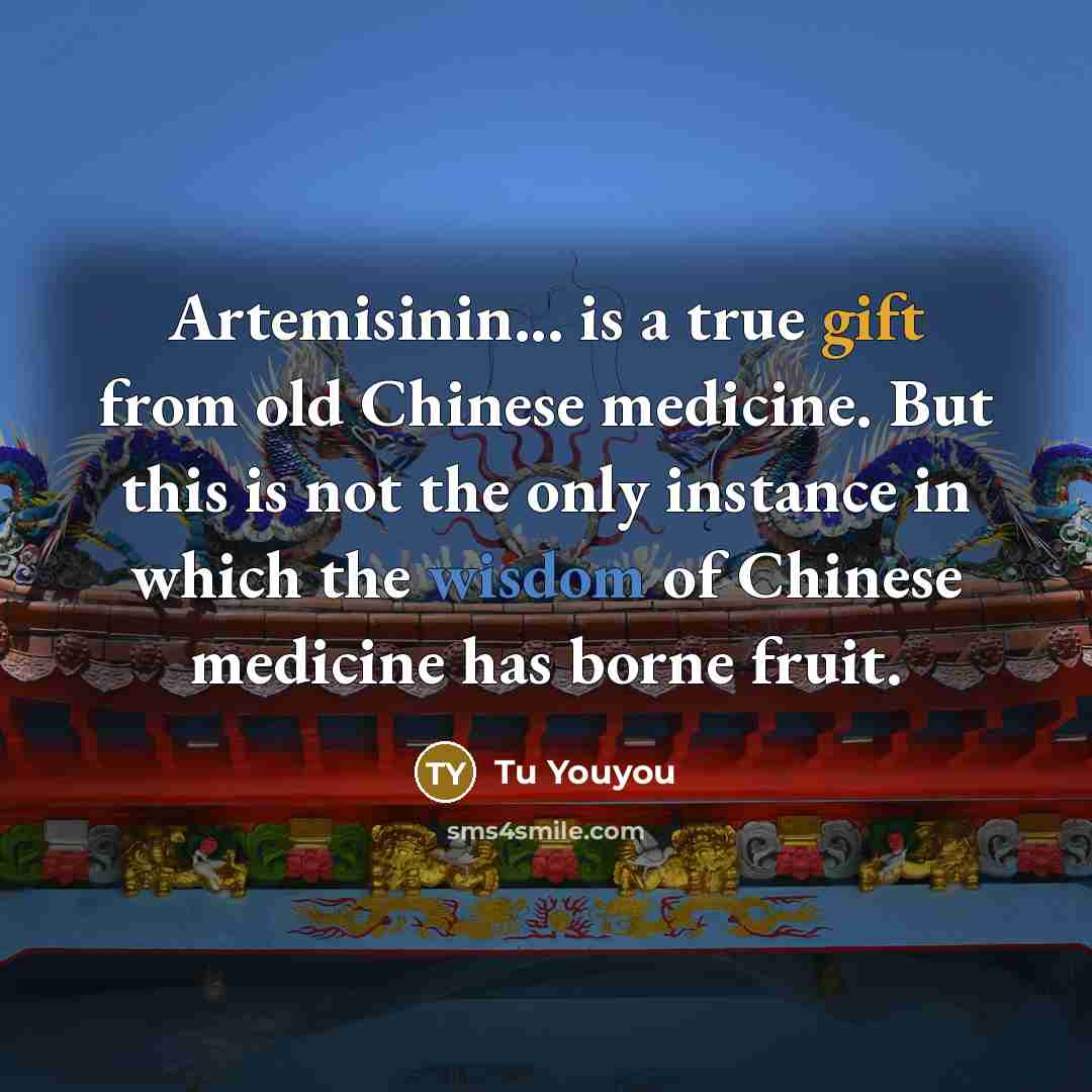 “Artemisinin... is a true gift from old Chinese medicine. But…” quote by Tu Youyou