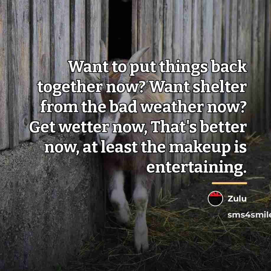 “Want to put things back together now? Want shelter from…” quote by Zulu