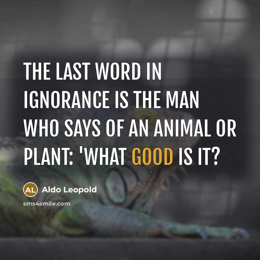 “The last word in ignorance is the man who says…” quote by Aldo Leopold