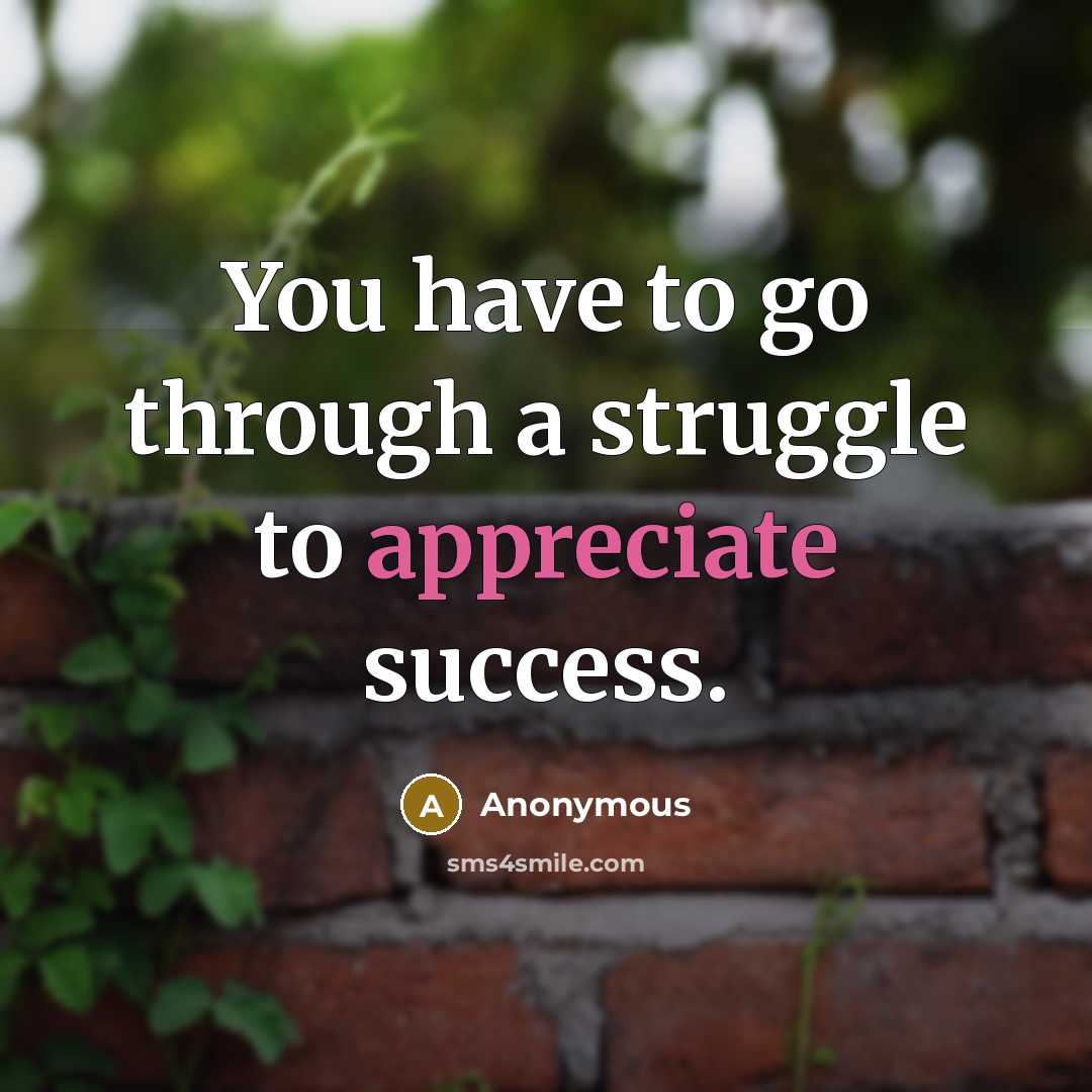 “You have to go through a struggle to appreciate success.…” quote by Anonymous