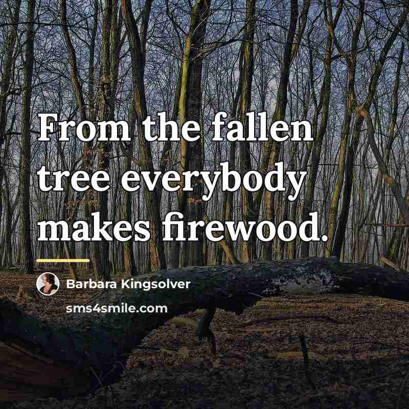 “From the fallen tree everybody makes firewood.…” quote by Barbara Kingsolver