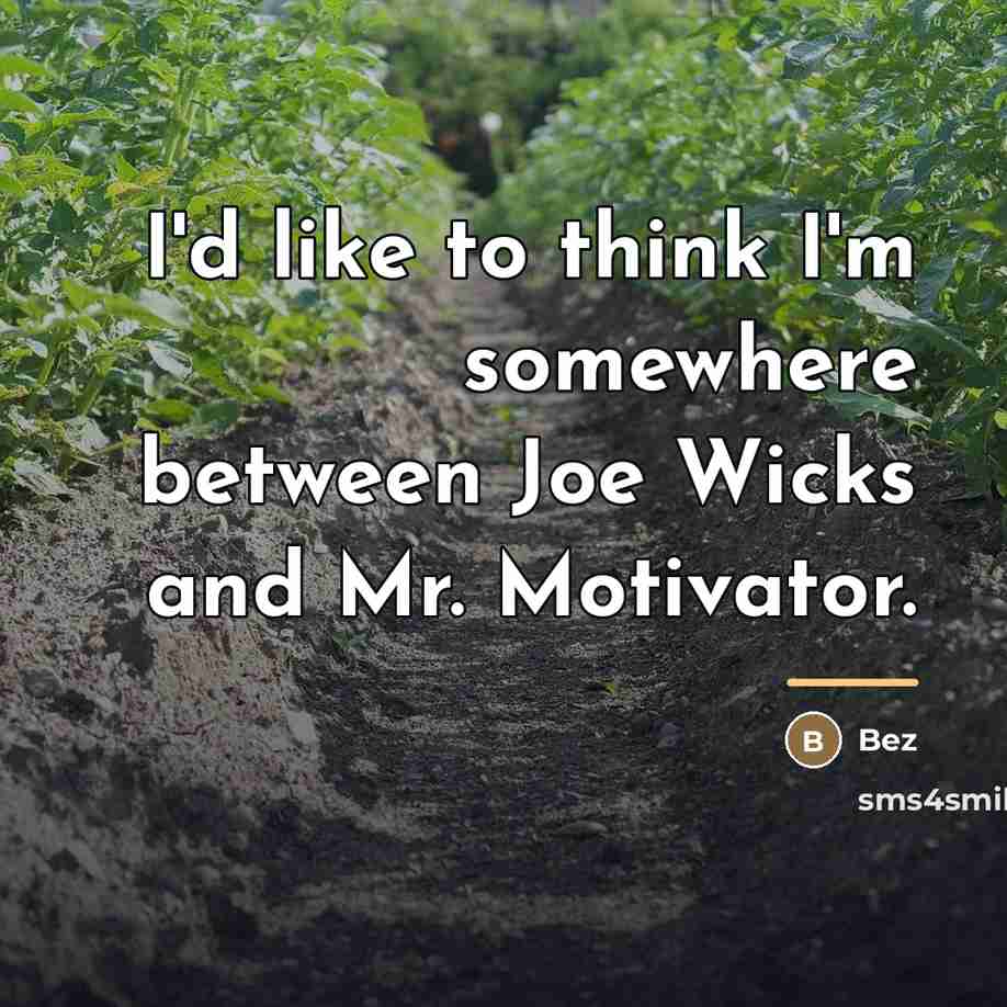 “I'd like to think I'm somewhere between Joe Wicks and…” quote by Bez