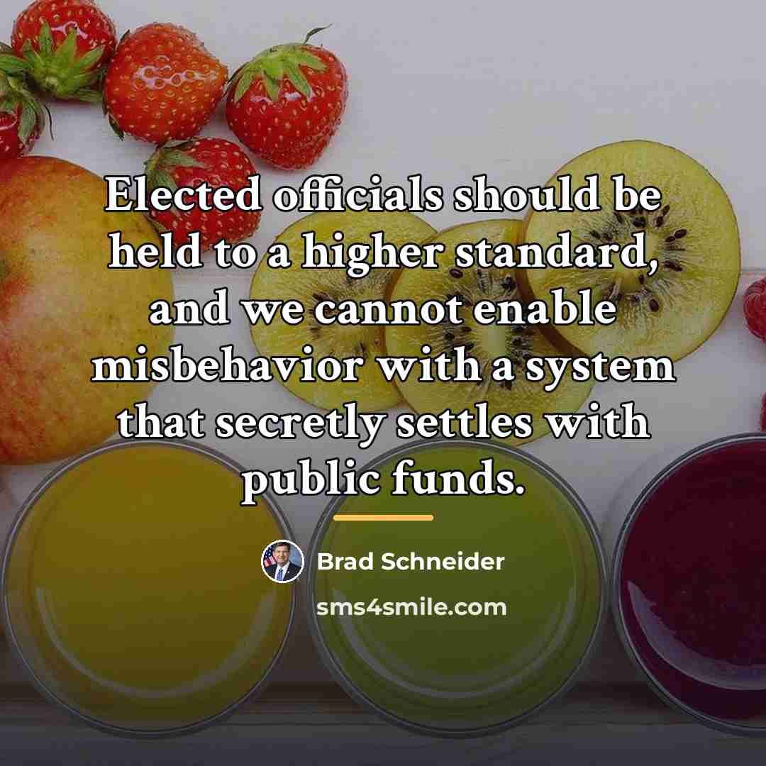 “Elected officials should be held to a higher standard, and…” quote by Brad Schneider