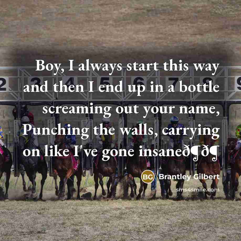 “Boy, I always start this way and then I end up in a bottle screaming out your name, Punching the walls, carrying on like I've gone insaneð¶ð¶” quote by Brantley Gilbert