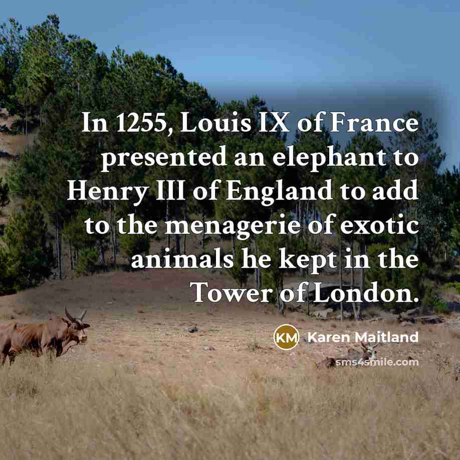 “In 1255, Louis IX of France presented an elephant to…” quote by Karen Maitland