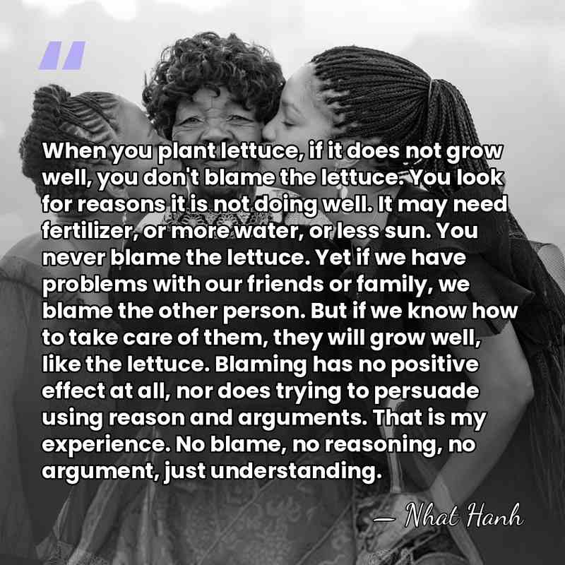 When you plant lettuce, if it does not grow well, you don't&hellip; - Nhat Hanh