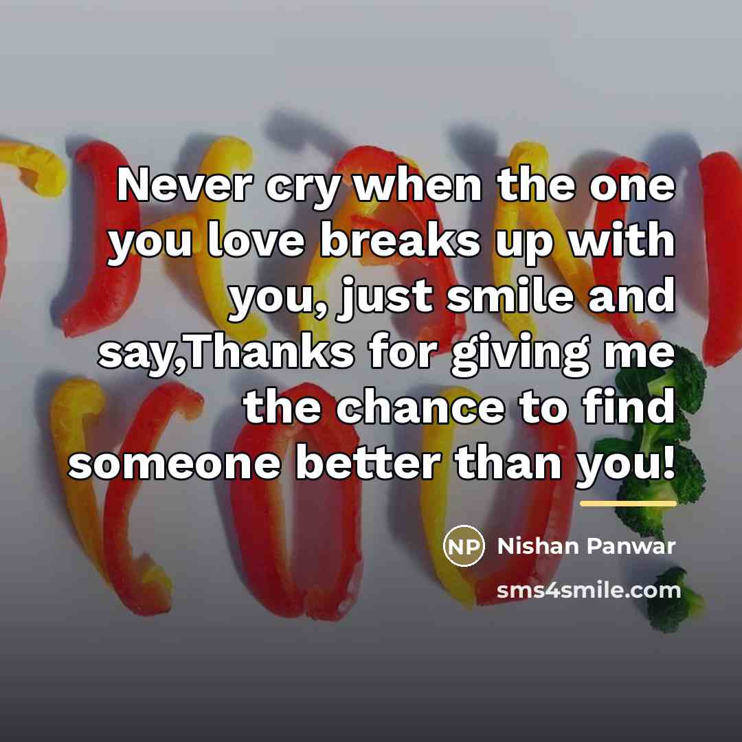 “Never cry when the one you love breaks up with…” quote by Nishan Panwar