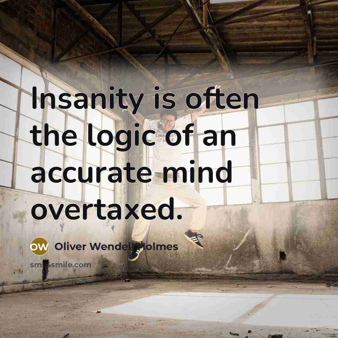 “Insanity is often the logic of an accurate mind overtaxed.…” quote by Oliver Wendell Holmes