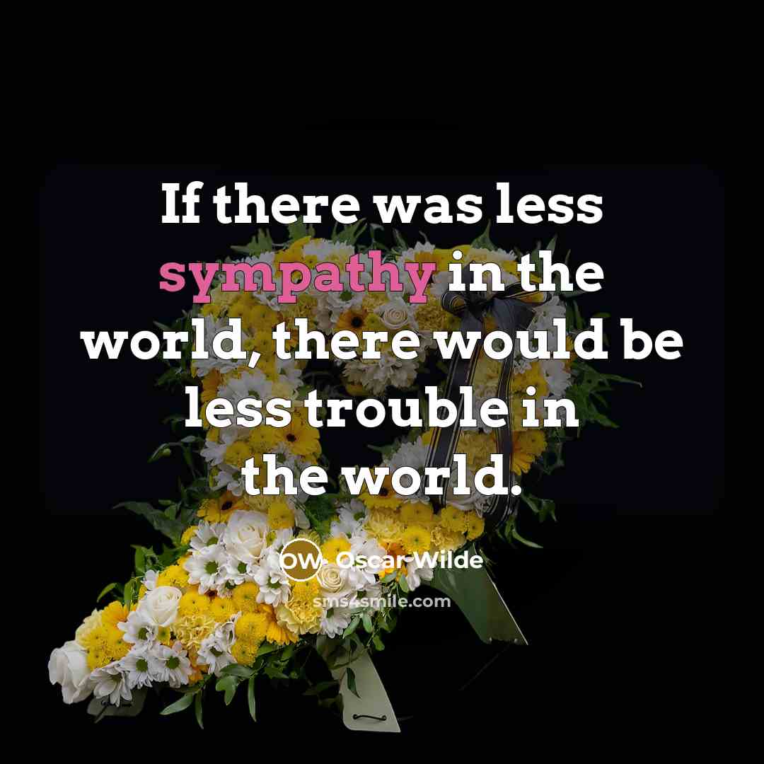 “If there was less sympathy in the world, there would…” quote by Oscar Wilde