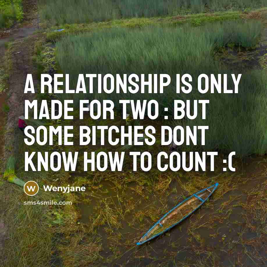 “A relationship is only made for TWO : but some BITCHES dont know how to count :(” quote by Wenyjane