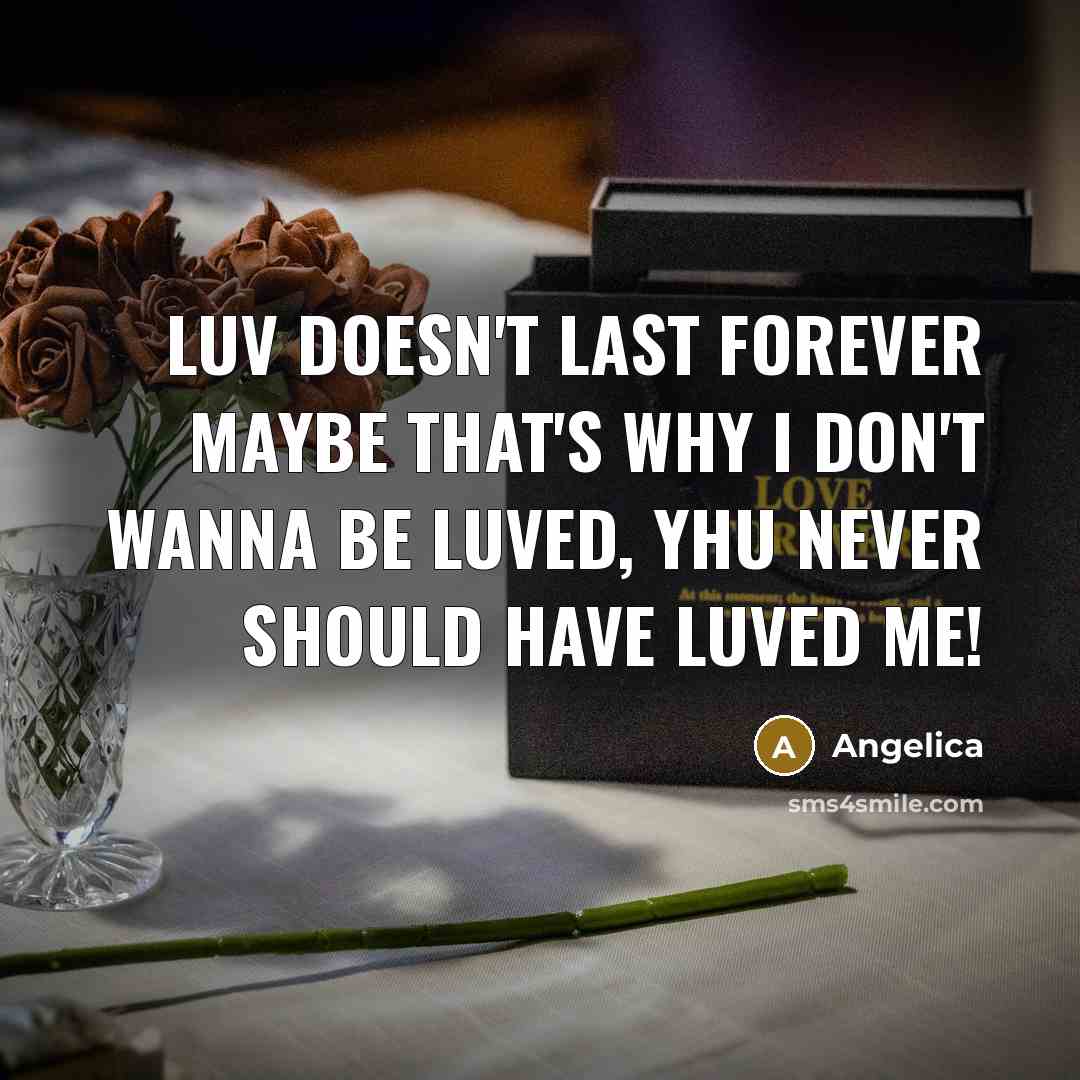 “Luv doesn't last forever maybe that's why I don't wanna be luved, yhu never should have luved me!” quote by Angelica