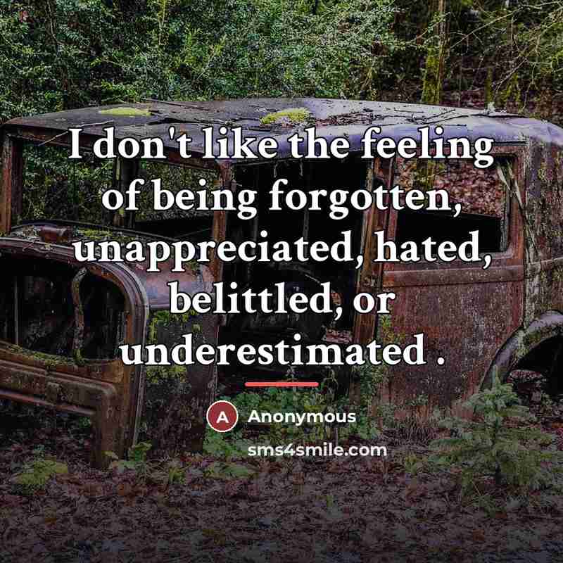 “I don't like the feeling of being forgotten, unappreciated, hated,…” quote by Anonymous