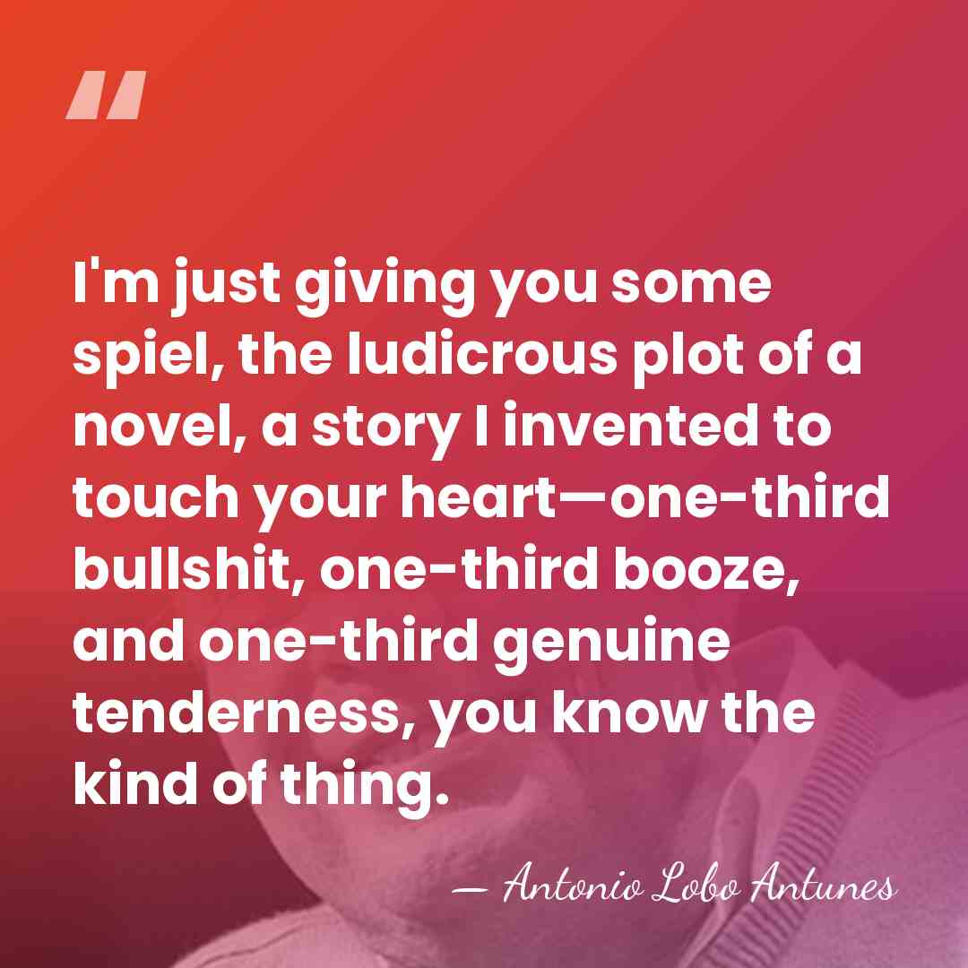 I'm just giving you some spiel, the ludicrous plot of a novel,&hellip; - Antonio Lobo Antunes