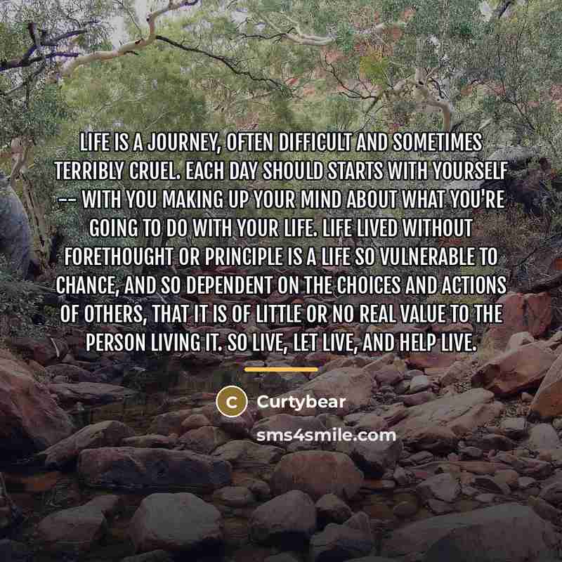 “Life is a journey, often difficult and sometimes terribly cruel.…” quote by Curtybear