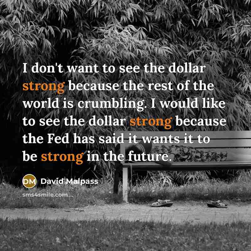 “I don't want to see the dollar strong because the…” quote by David Malpass