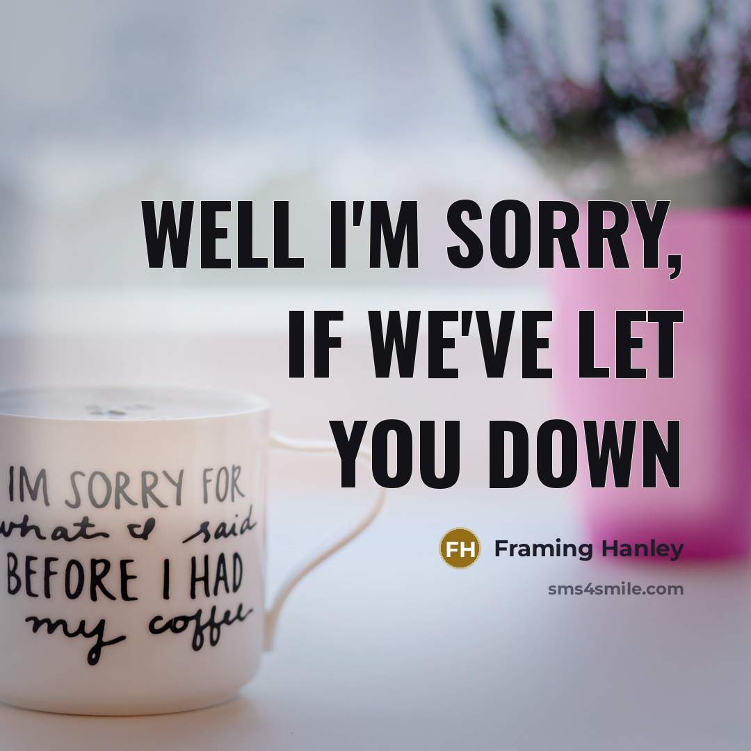 “Well I'm sorry, if we've let you down…” quote by Framing Hanley
