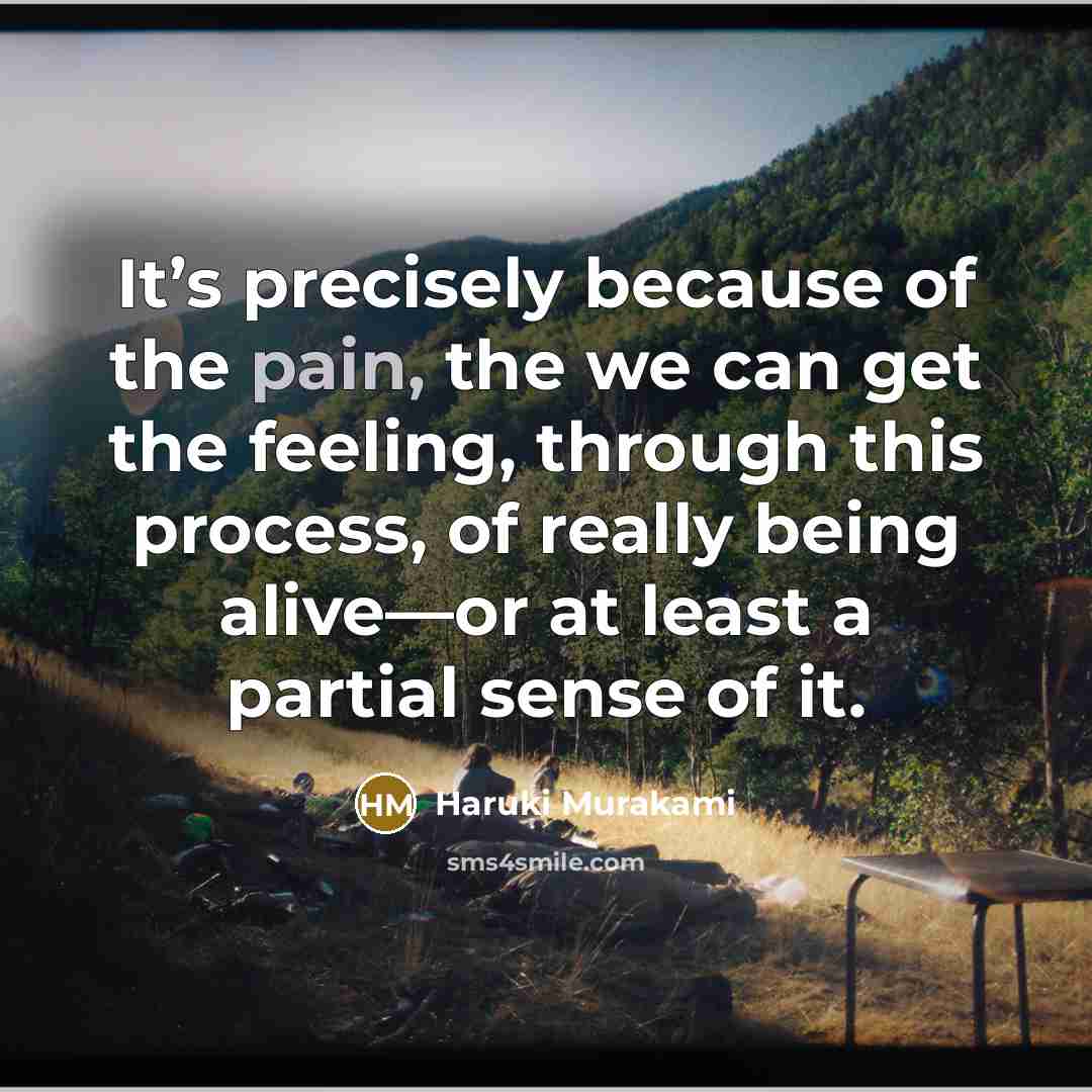 “It’s precisely because of the pain, the we can get…” quote by Haruki Murakami