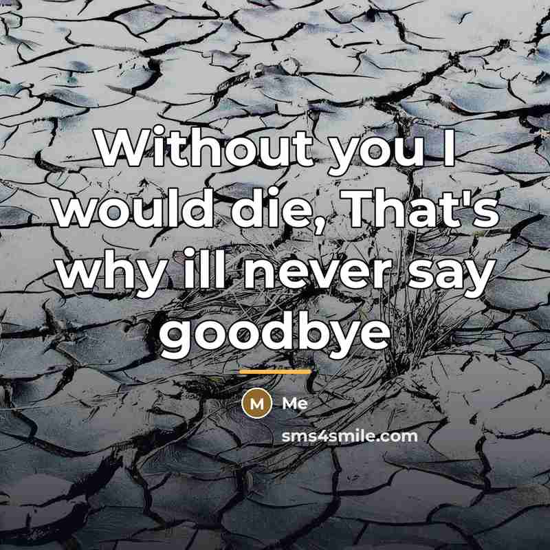 “Without you I would die, That's why ill never say…” quote by Me