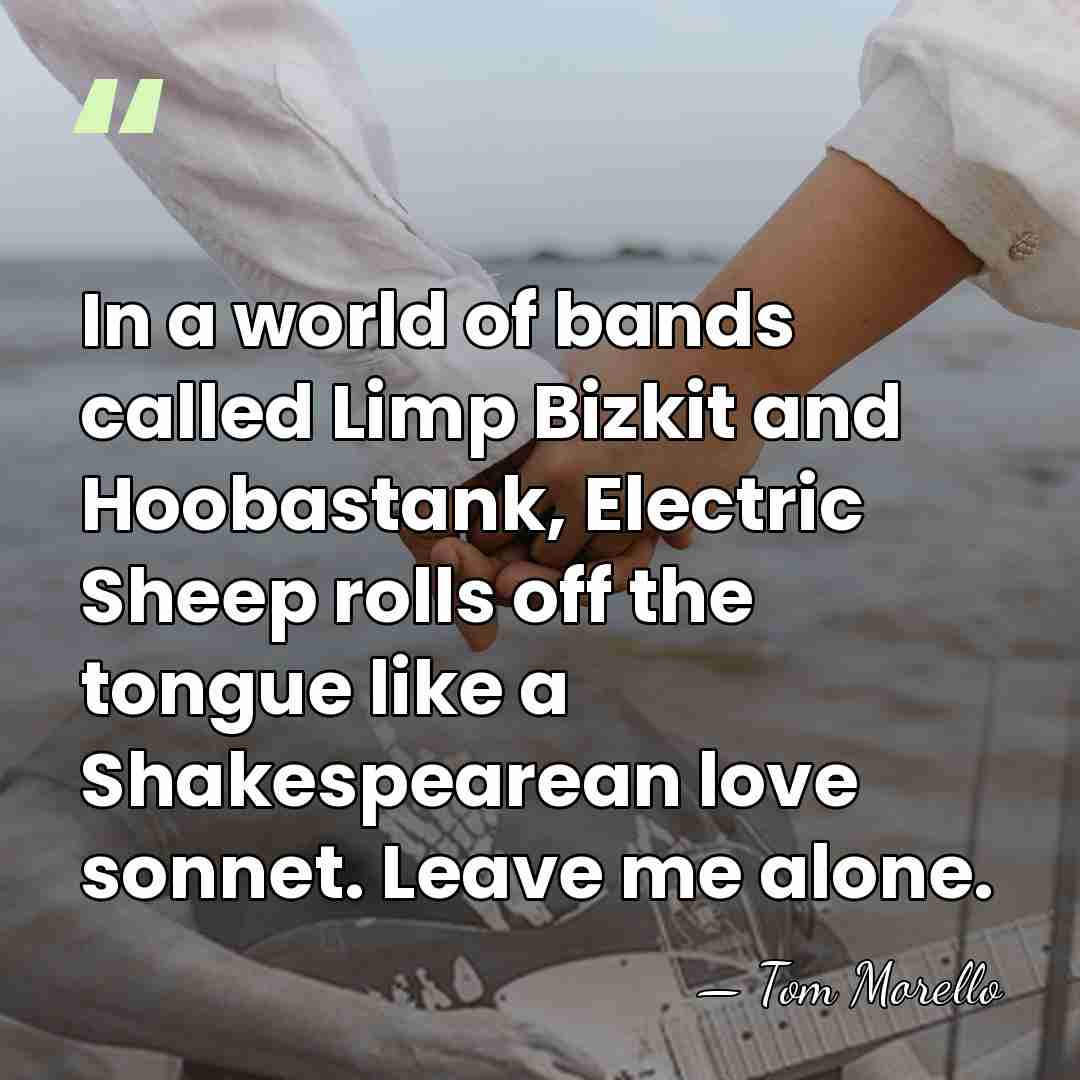 In a world of bands called Limp Bizkit and Hoobastank, Electric Sheep&hellip; - Tom Morello