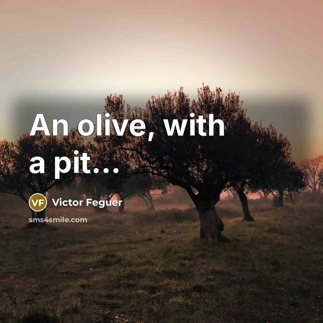 “An olive, with a pit...” quote by Victor Feguer