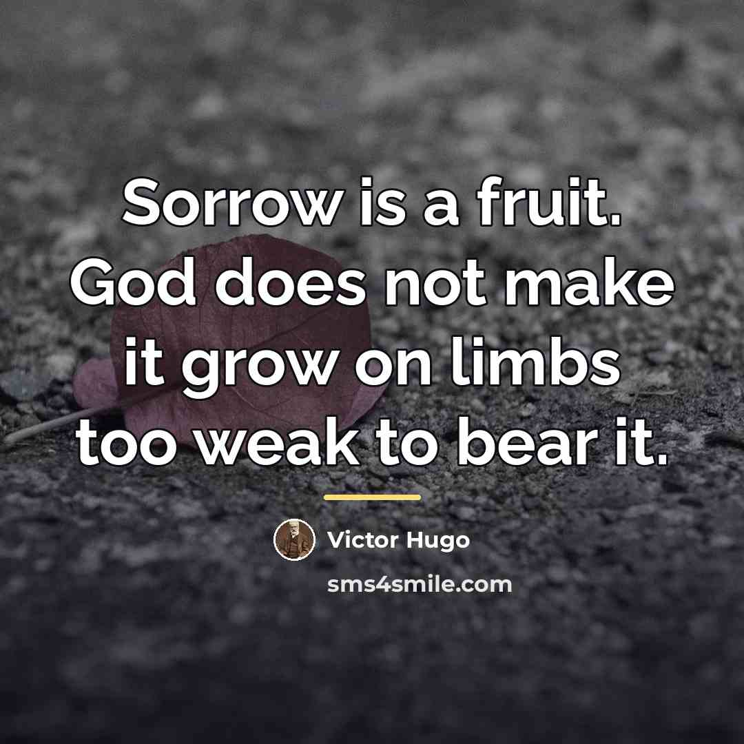 “Sorrow is a fruit. God does not make it grow…” quote by Victor Hugo