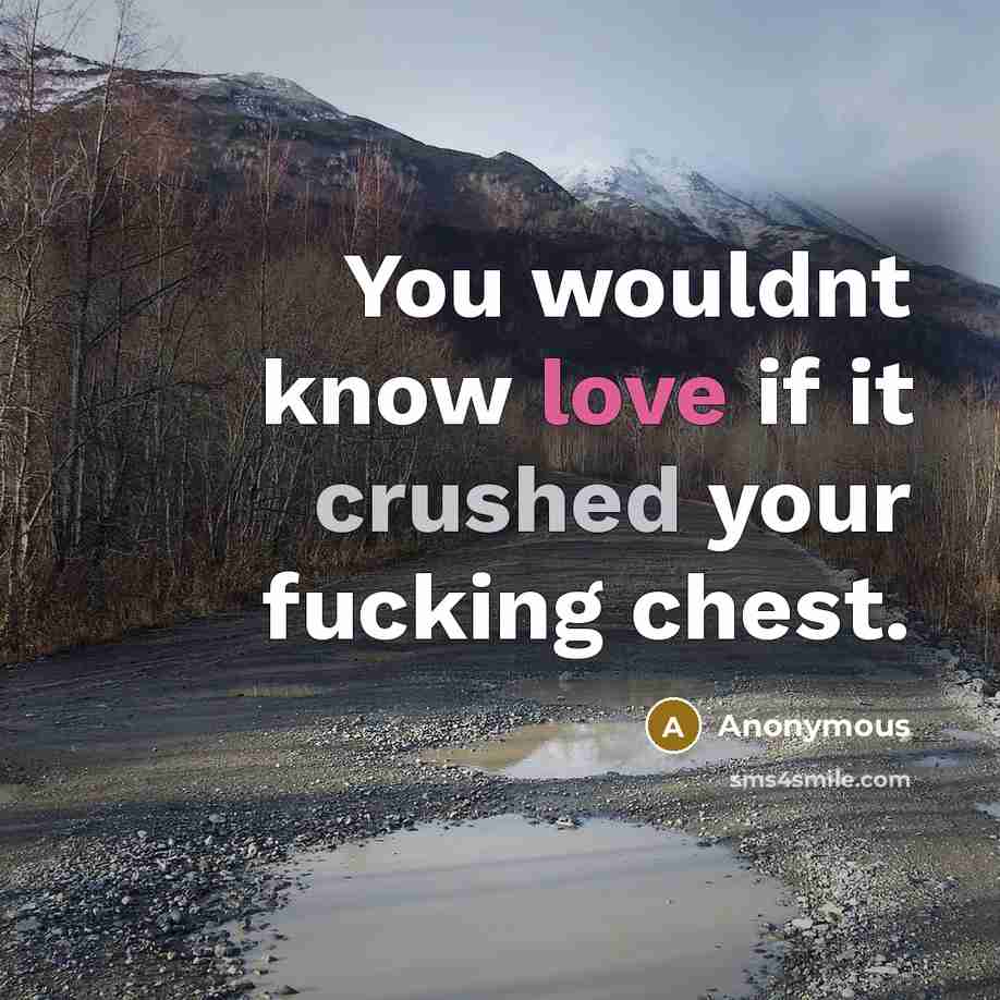 “You wouldnt know love if it crushed your fucking chest.” quote by Anonymous