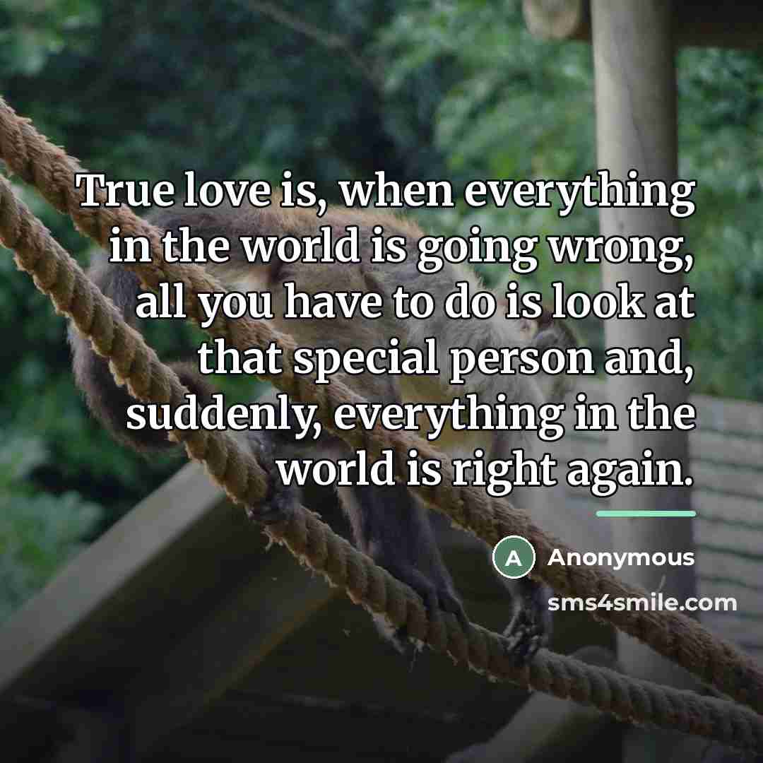 “True love is, when everything in the world is going…” quote by Anonymous