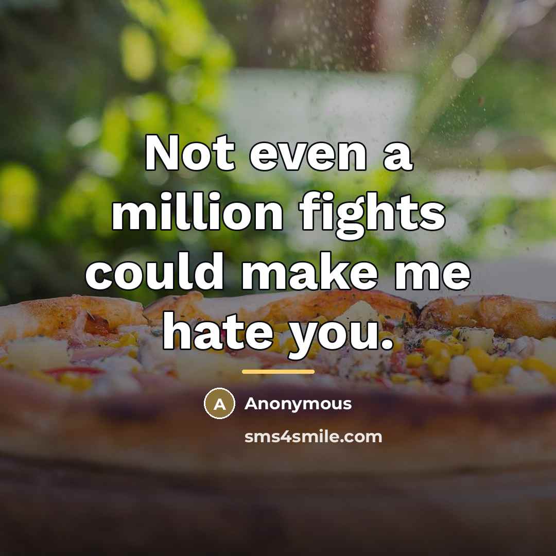 “Not even a million fights could make me hate you.…” quote by Anonymous