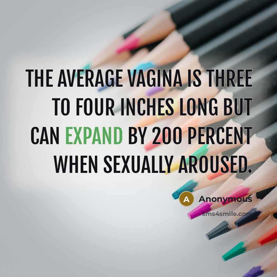 “The average vagina is three to four inches long but…” quote by Anonymous