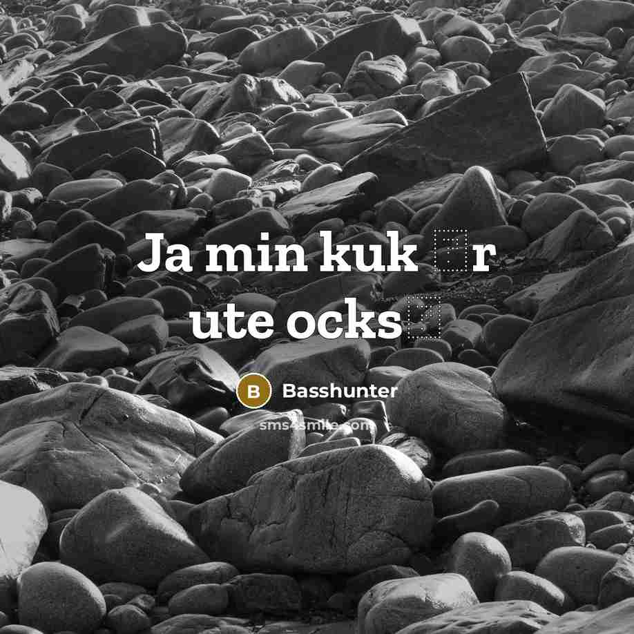 “Ja min kuk �r ute ocks�” quote by Basshunter