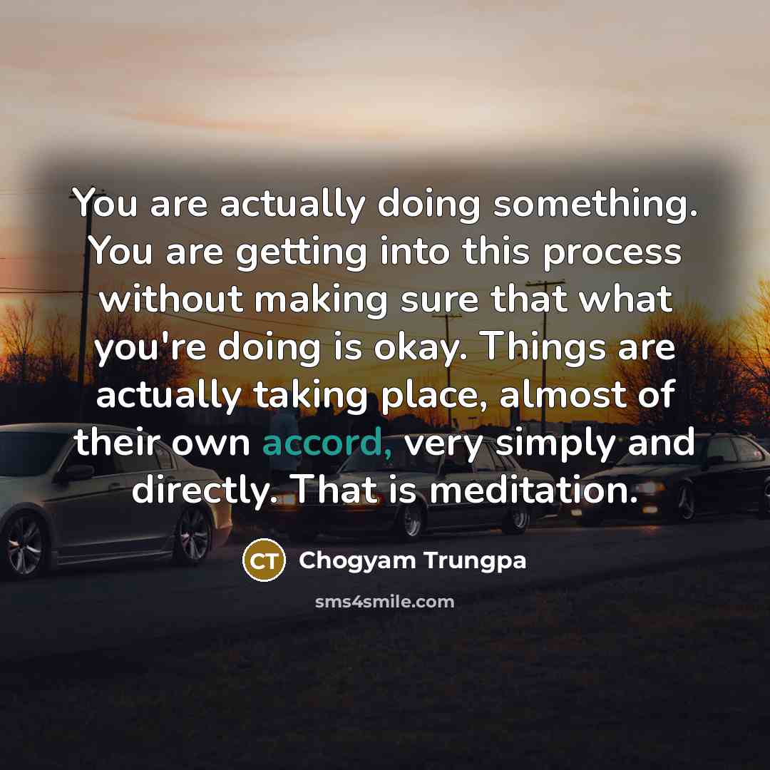 “You are actually doing something. You are getting into this…” quote by Chogyam Trungpa