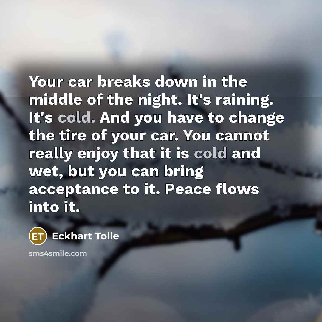 “Your car breaks down in the middle of the night.…” quote by Eckhart Tolle