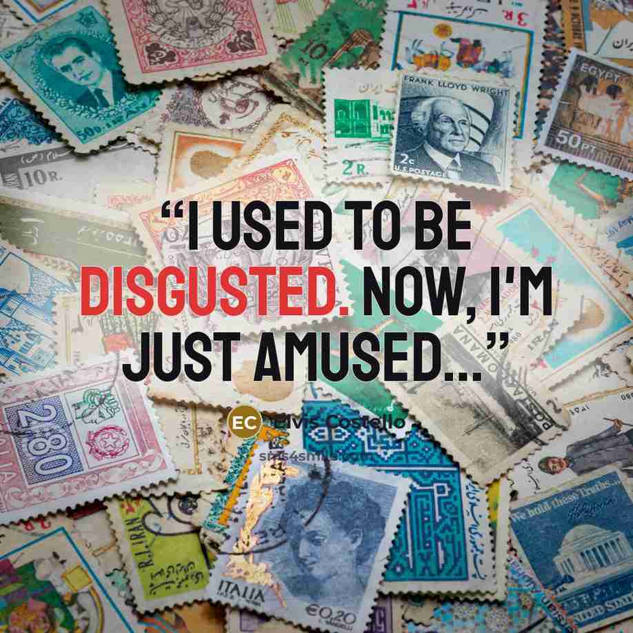 “I used to be disgusted. Now, I'm just amused...” quote by Elvis Costello