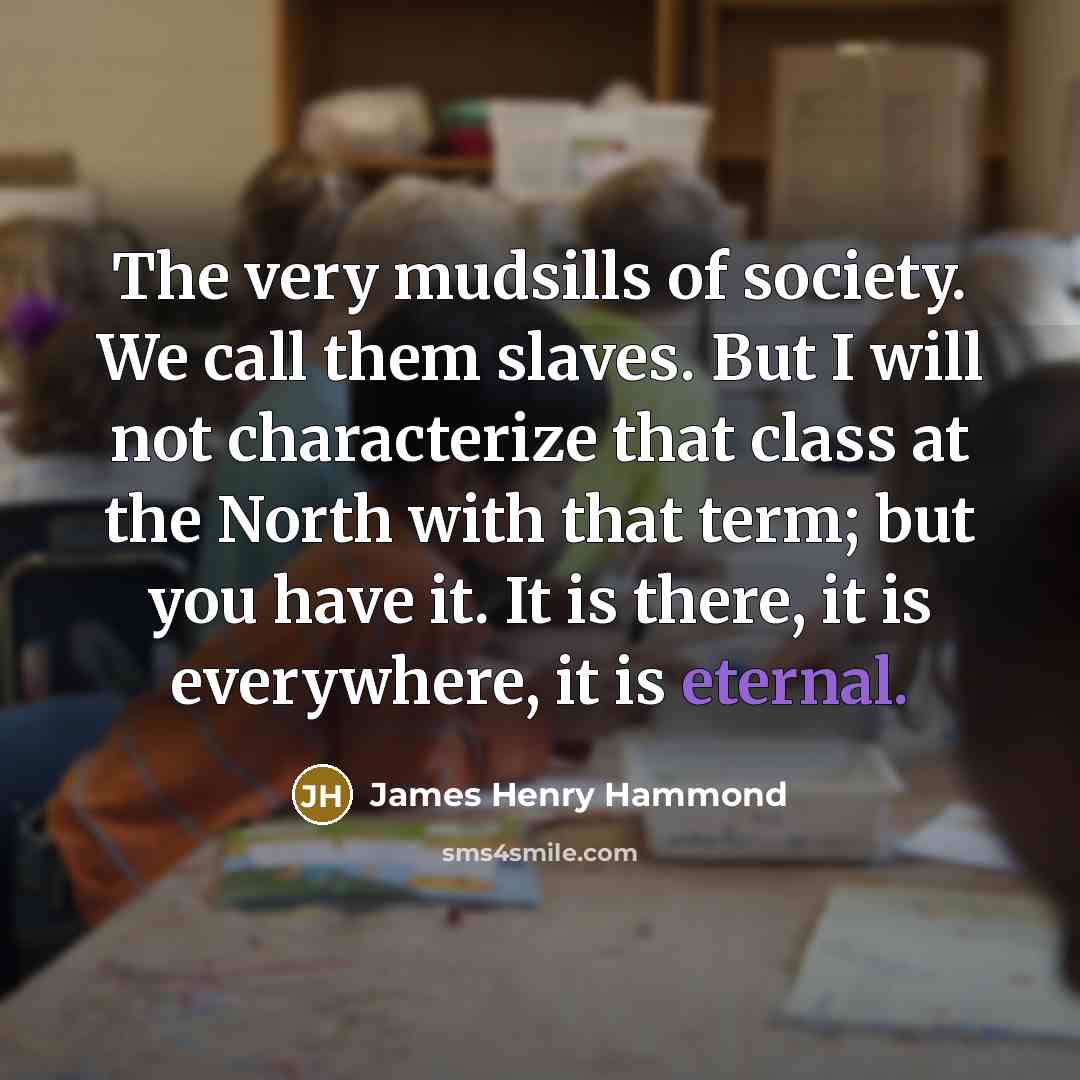 “The very mudsills of society. We call them slaves. But…” quote by James Henry Hammond
