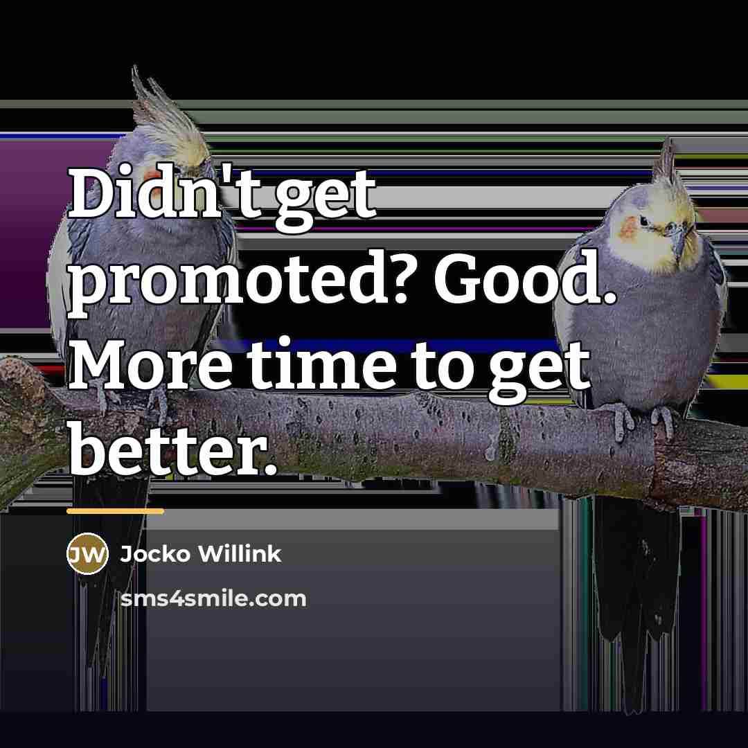 “Didn't get promoted? Good. More time to get better.…” quote by Jocko Willink