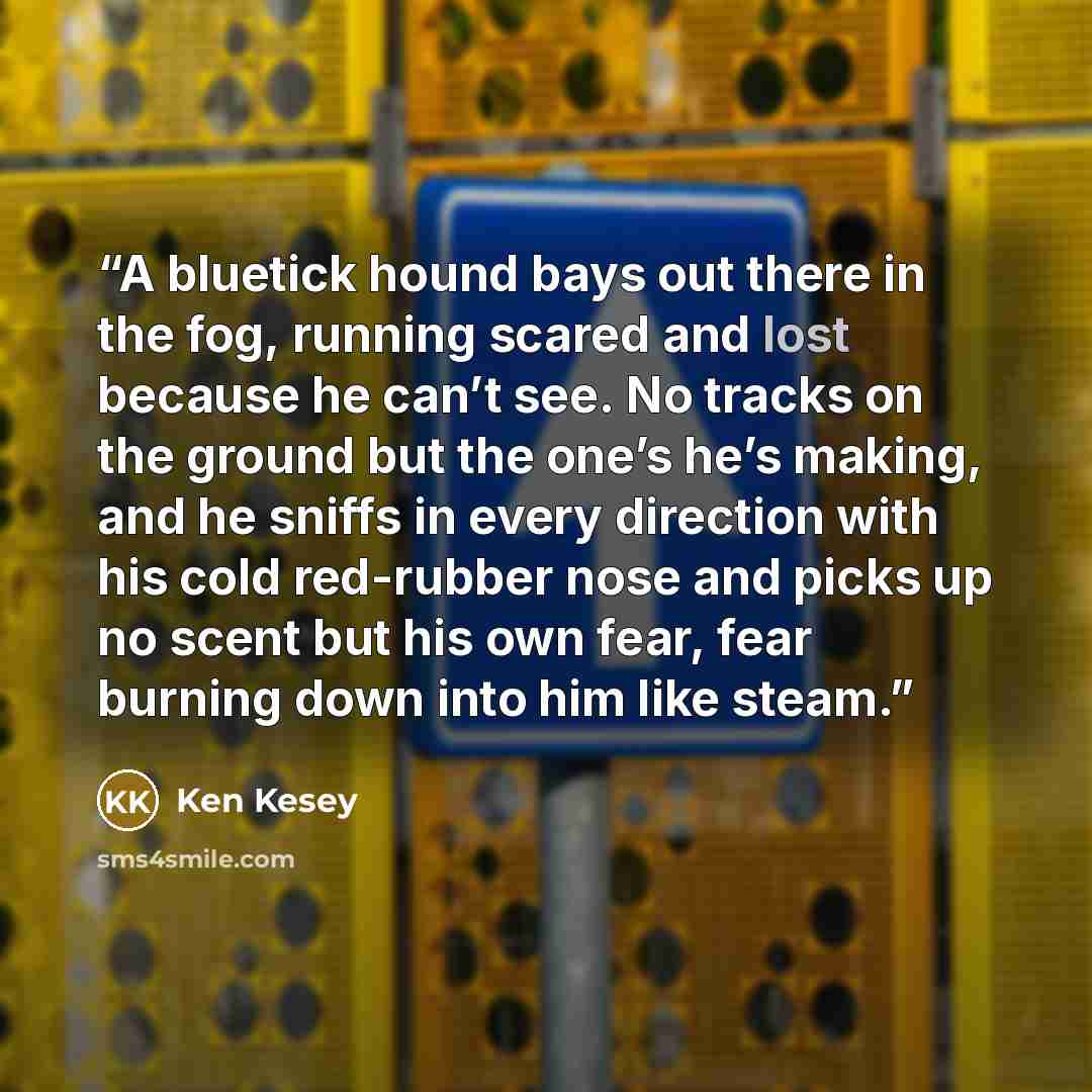 “A bluetick hound bays out there in the fog, running scared and lost because he can’t see. No tracks on the ground but the one’s he’s making, and he sniffs in every direction with his cold red-rubber nose and picks up no scent but his own fear, fear burning down into him like steam.” quote by Ken Kesey