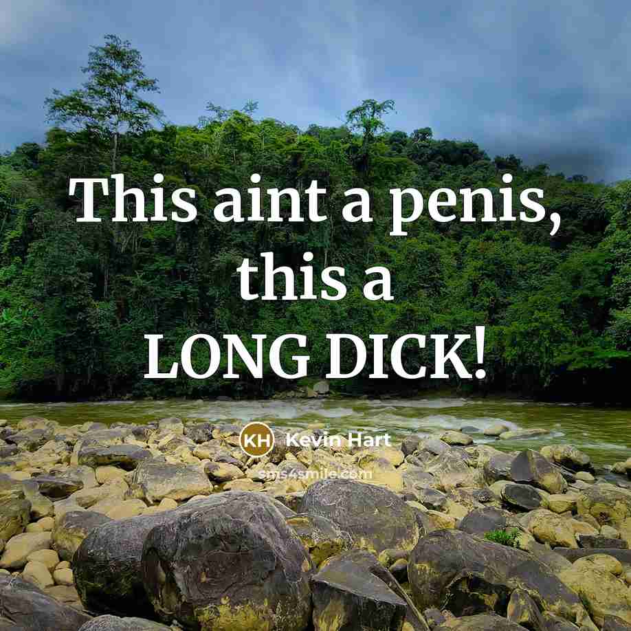 “This aint a penis, this a LONG DICK!…” quote by Kevin Hart