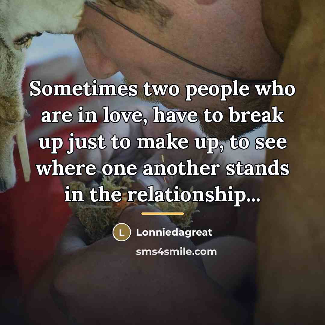 “Sometimes two people who are in love, have to break…” quote by Lonniedagreat