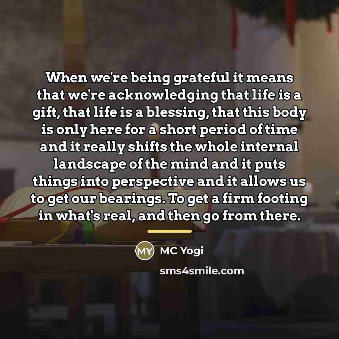 “When we're being grateful it means that we're acknowledging that…” quote by MC Yogi