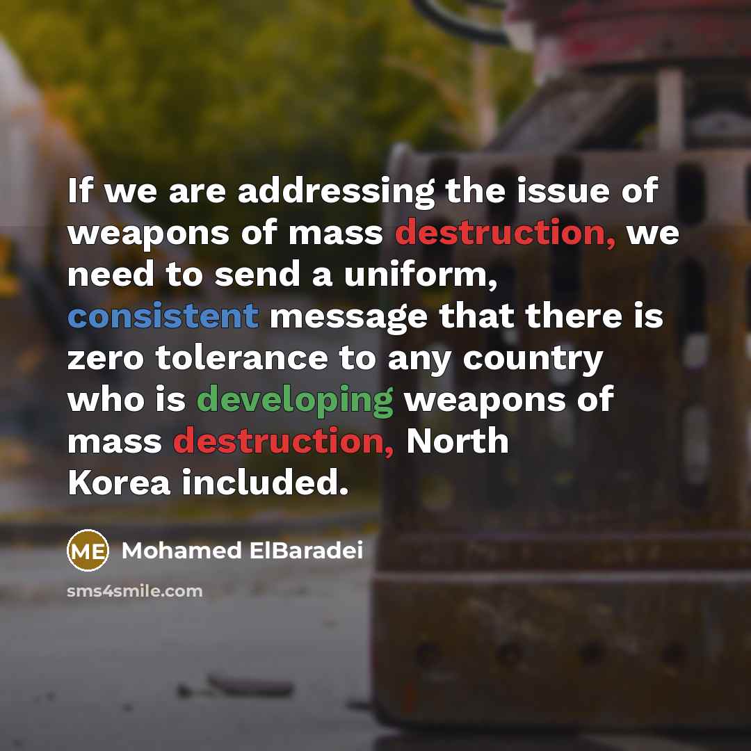 “If we are addressing the issue of weapons of mass…” quote by Mohamed ElBaradei