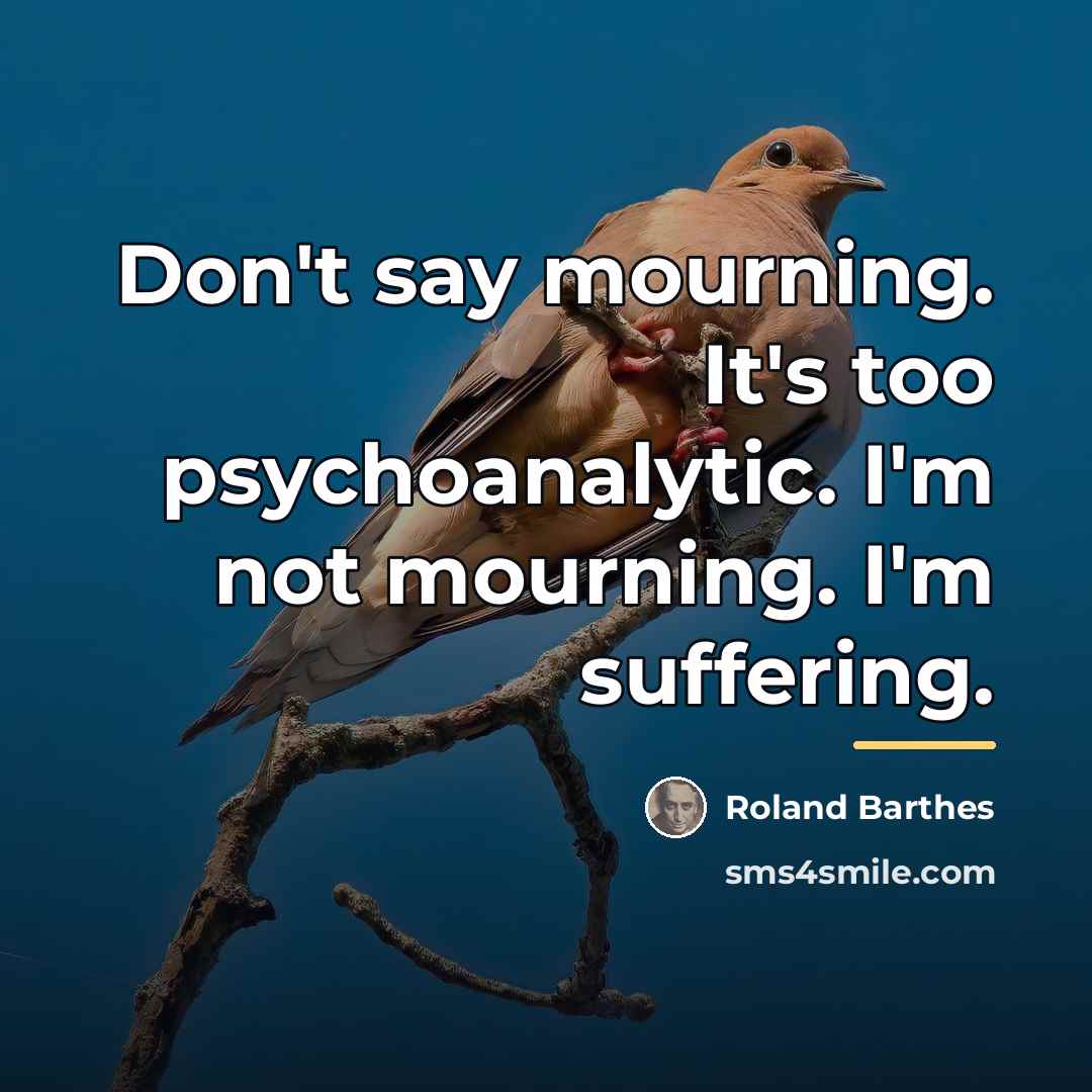 “Don't say mourning. It's too psychoanalytic. I'm not mourning. I'm…” quote by Roland Barthes