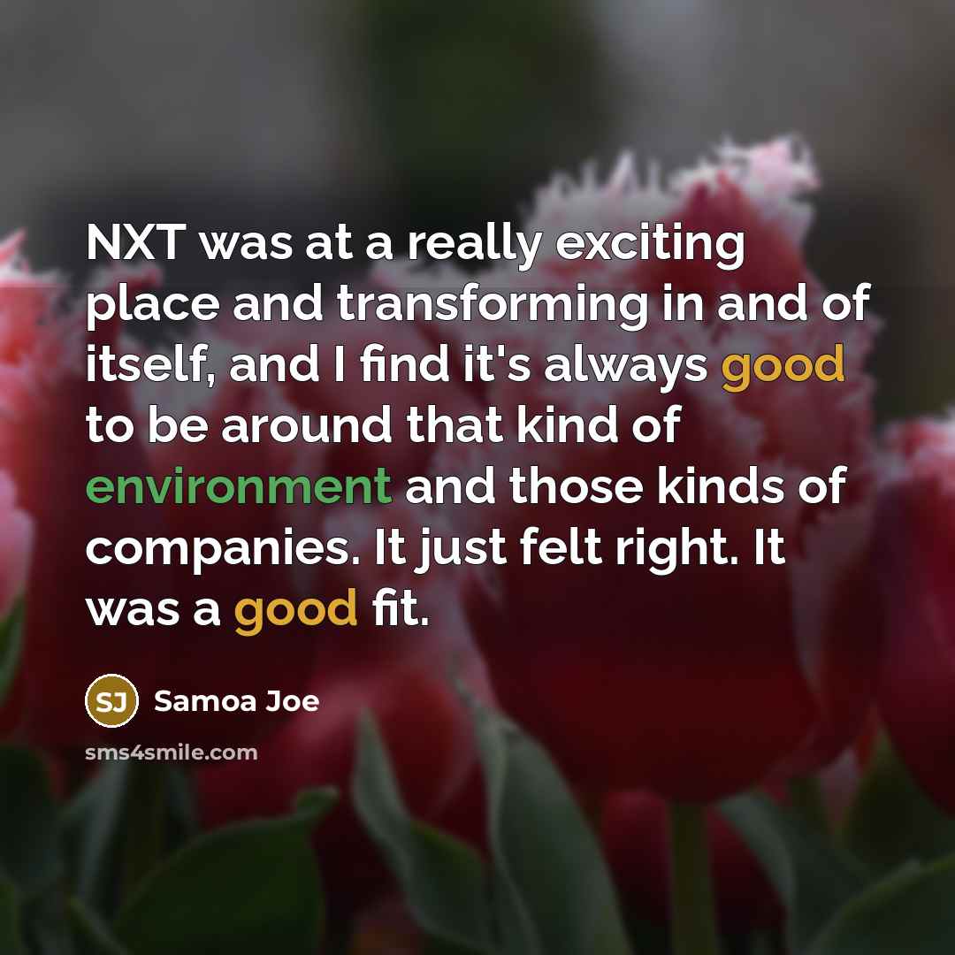 “NXT was at a really exciting place and transforming in…” quote by Samoa Joe