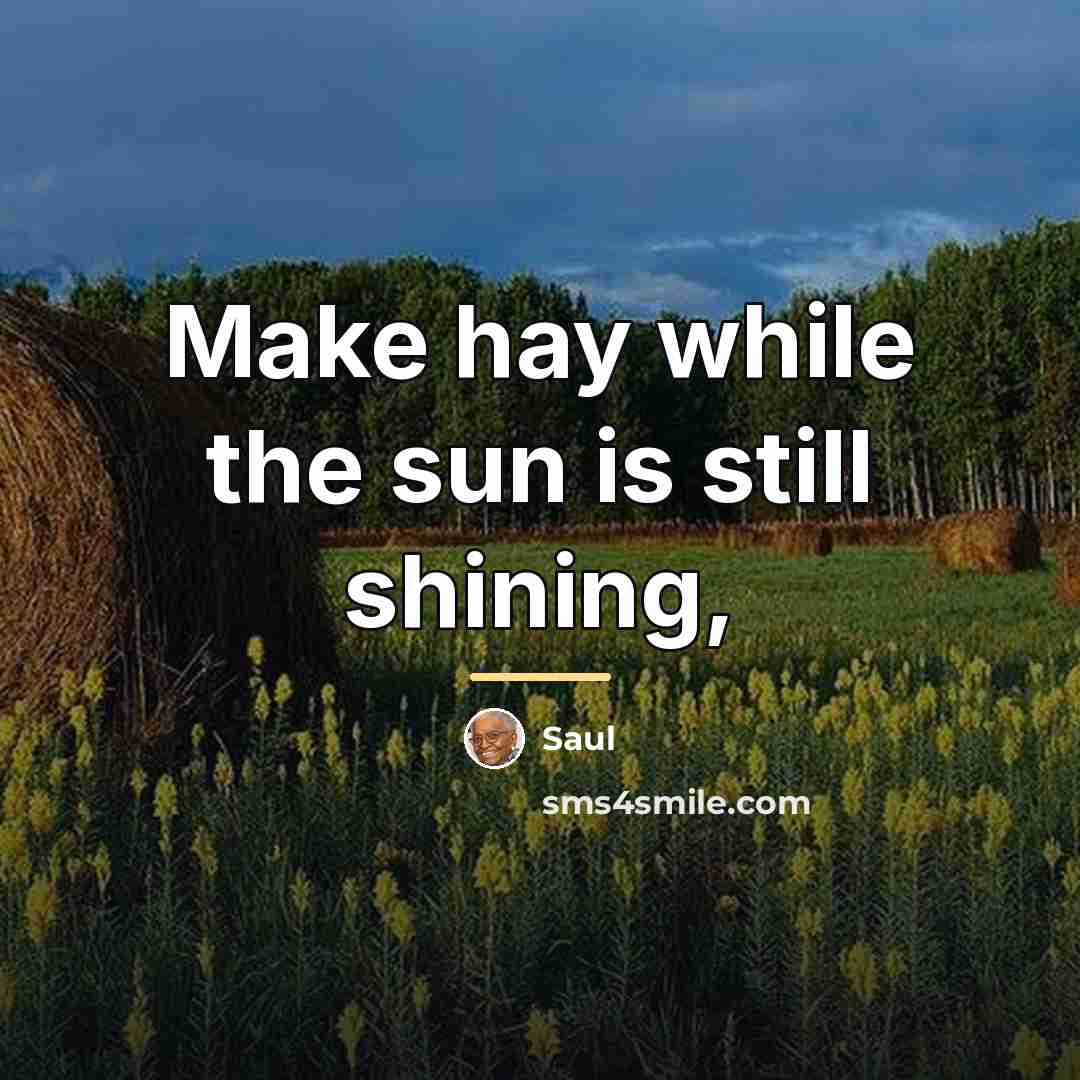 “Make hay while the sun is still shining,…” quote by Saul