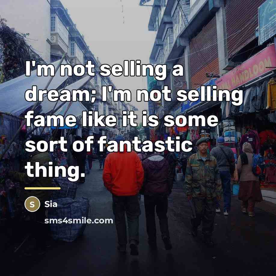 “I'm not selling a dream; I'm not selling fame like…” quote by Sia