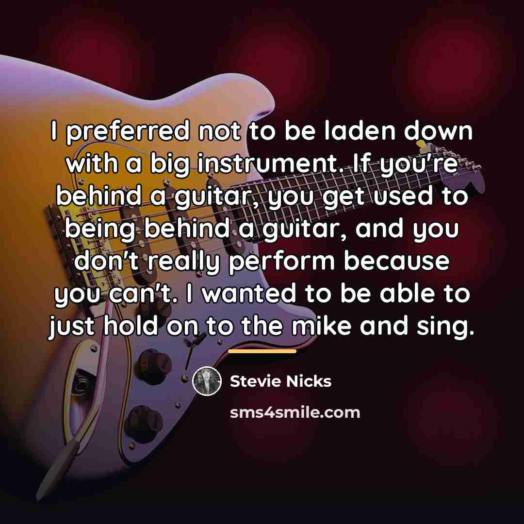 “I preferred not to be laden down with a big…” quote by Stevie Nicks