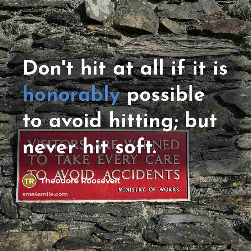 “Don't hit at all if it is honorably possible to…” quote by Theodore Roosevelt