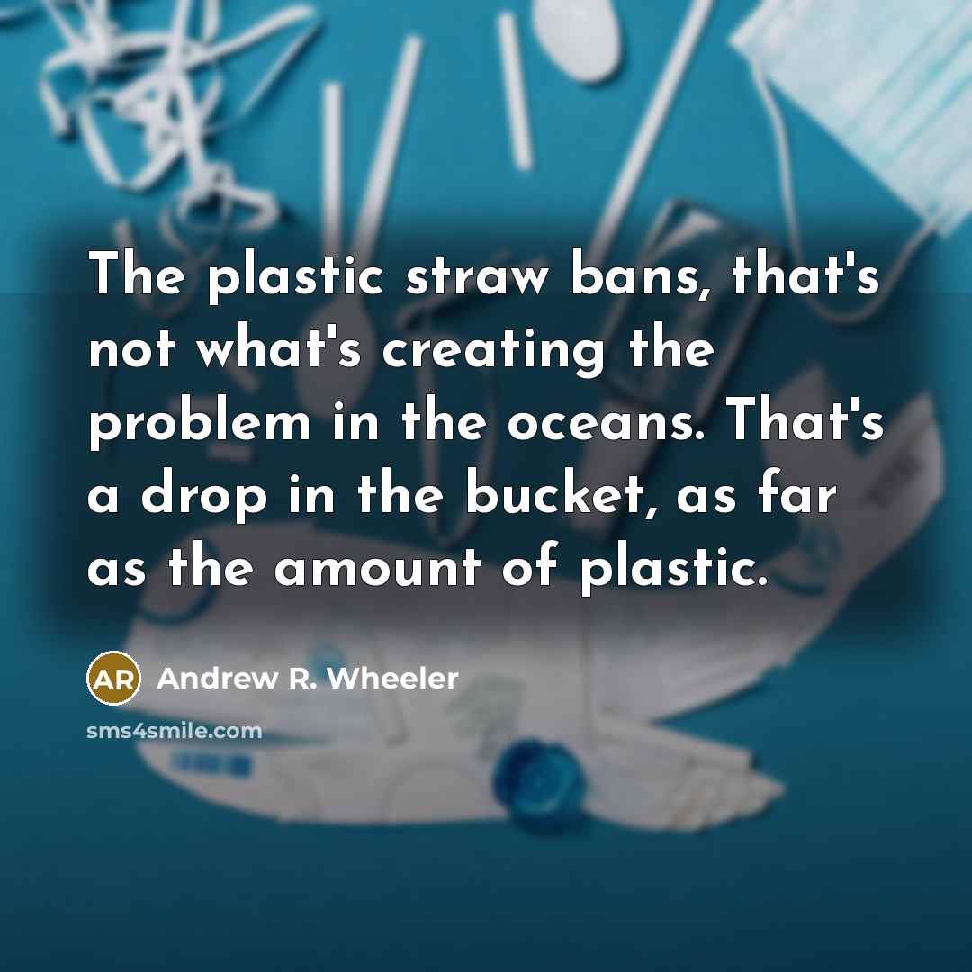 “The plastic straw bans, that's not what's creating the problem…” quote by Andrew R. Wheeler