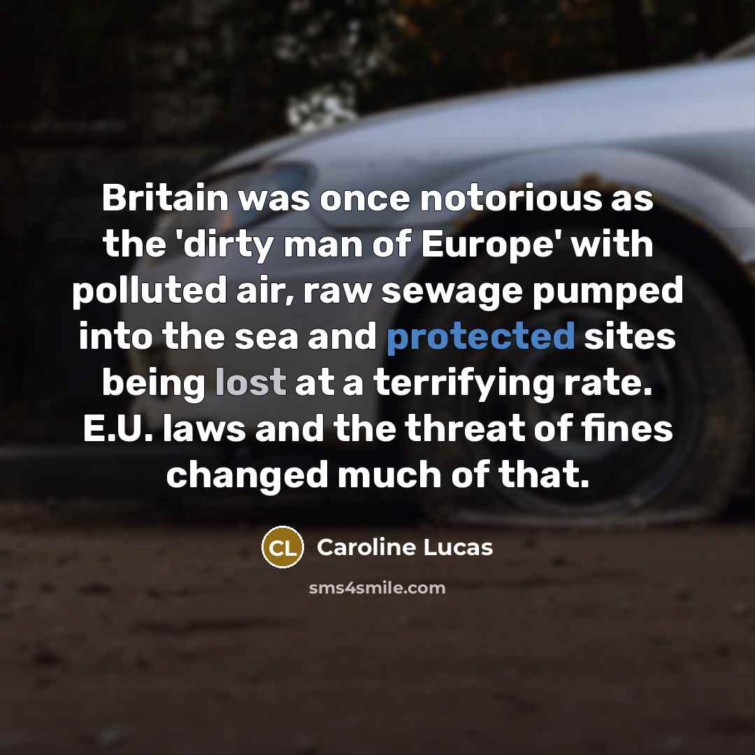 “Britain was once notorious as the 'dirty man of Europe' with polluted air, raw sewage pumped into the sea and protected sites being lost at a terrifying rate. E.U. laws and the threat of fines changed much of that.” quote by Caroline Lucas