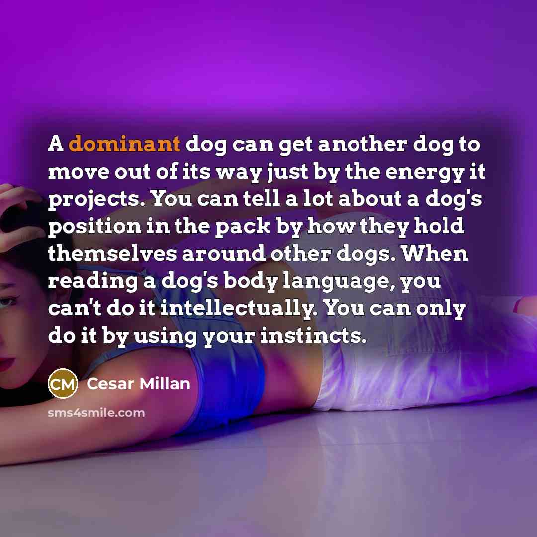 “A dominant dog can get another dog to move out…” quote by Cesar Millan